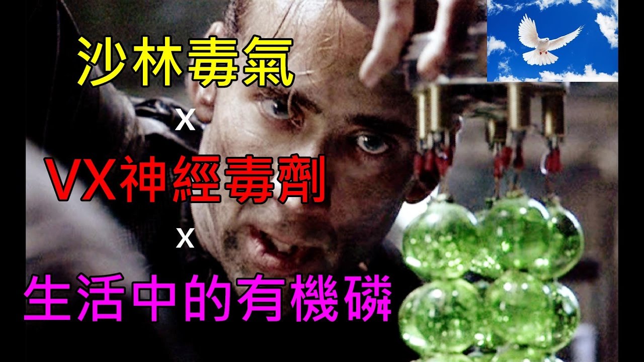 VX神經毒劑? 沙林毒氣? 生活中的有機磷!? | 三分鐘聊醫學EP2