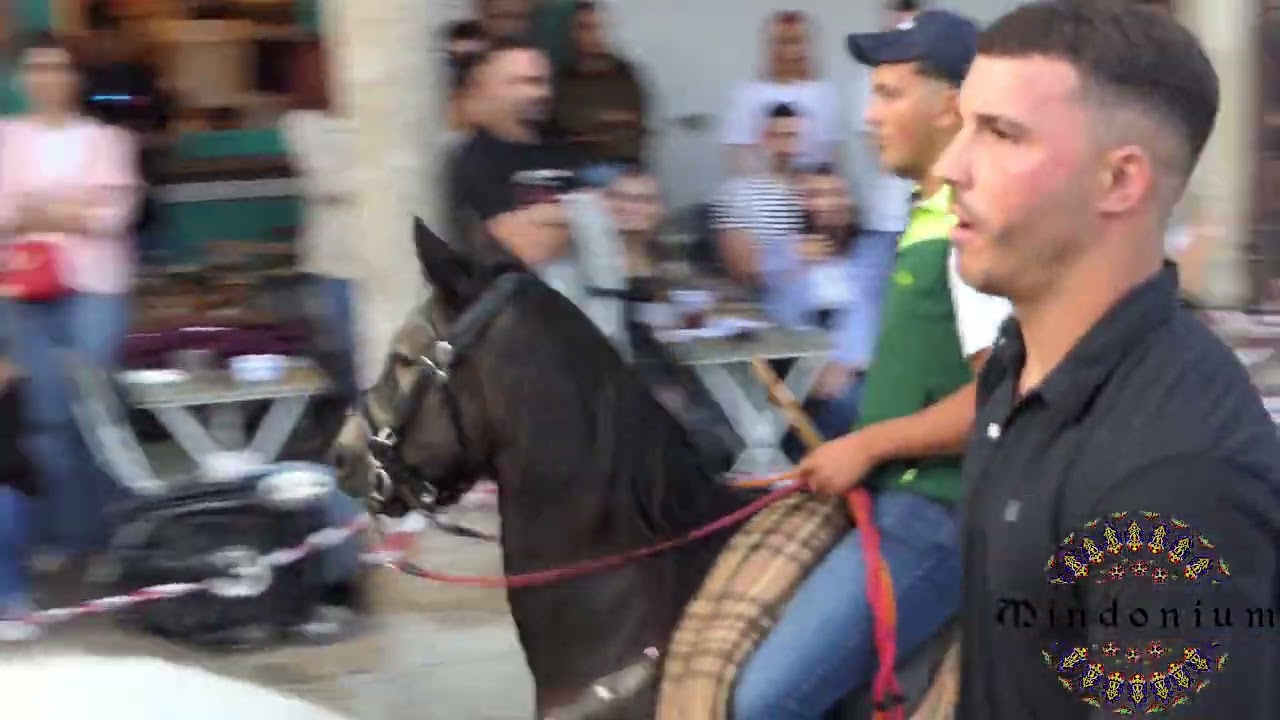 baixada dos cabalos san lucas 2025