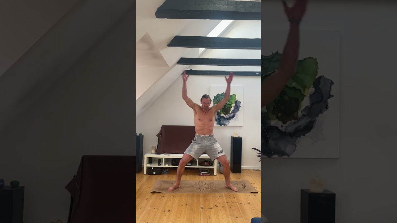 Horsestance Exercises and Training