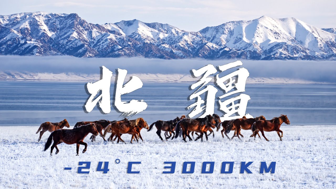 挑战零下24度睡车里！3000KM极致风光之旅 | 冬季北疆环线自驾 新疆 赛里木湖 禾木 喀纳斯 白哈巴 安集海大峡谷 独山子大峡谷