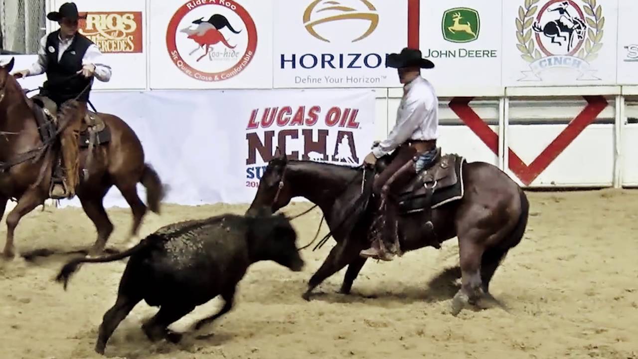 NCHA - The Sport of Cutting Horses