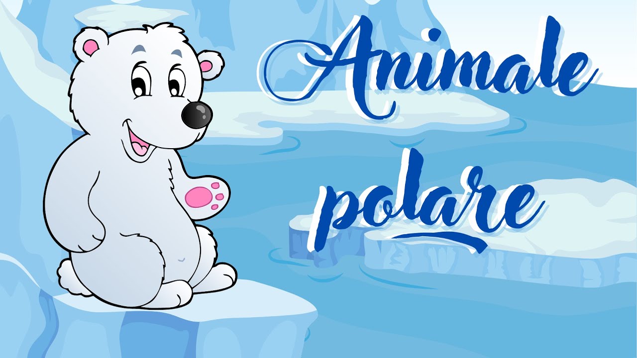 Animale polare 🐻‍❄️🐧🦭🦌||cunoașterea mediului||animale