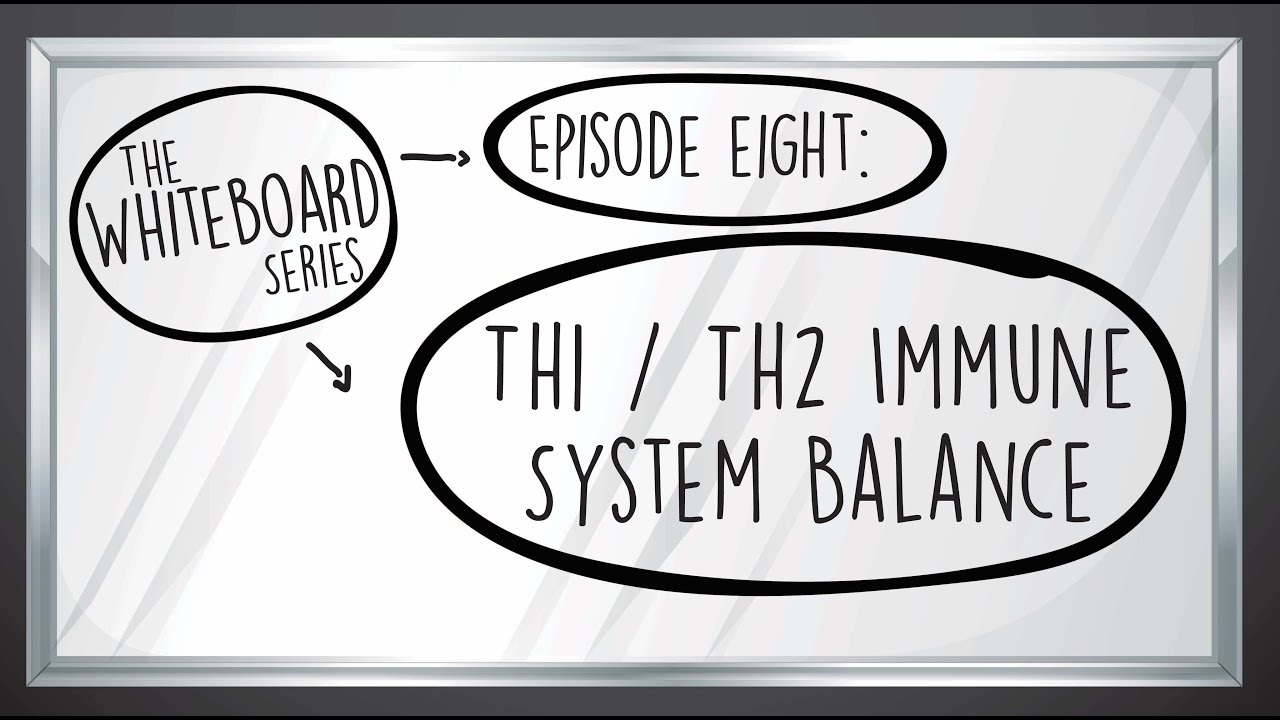 White Board Series Video #8  - Th1 / Th2 Immune System Balance