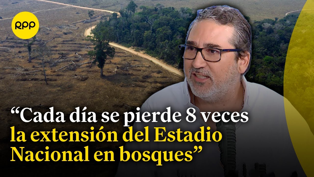Deforestación en el Perú: Fernando Regal explica la situación de los bosques amazónicos en Perú