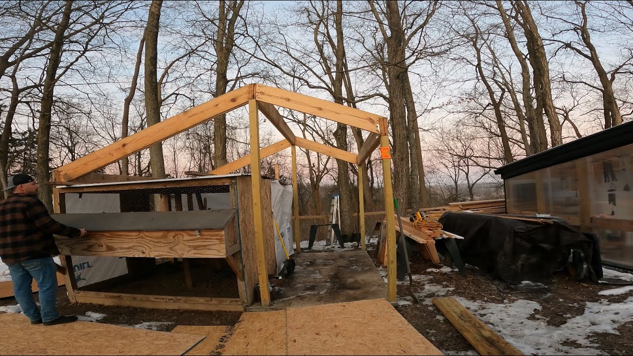 Framing and Sheeting a Chicken Coop Roof | Part 1