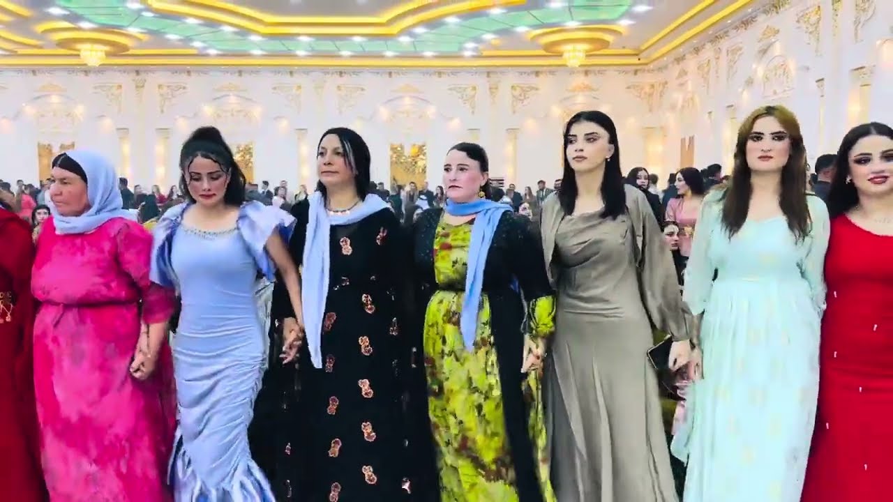 شاكر حلو و عبدال علي زفاف ( الياس و نازو ) 3-11-2025 قاعة افين الملكي  