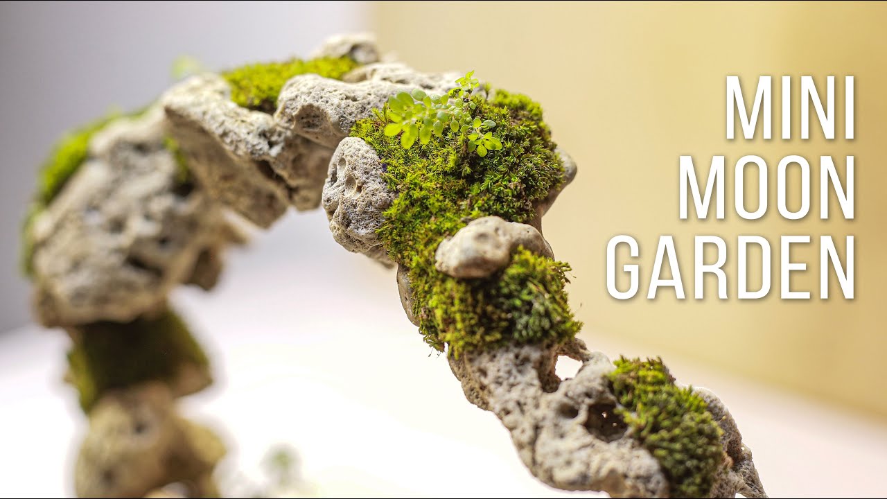 making mini moon garden