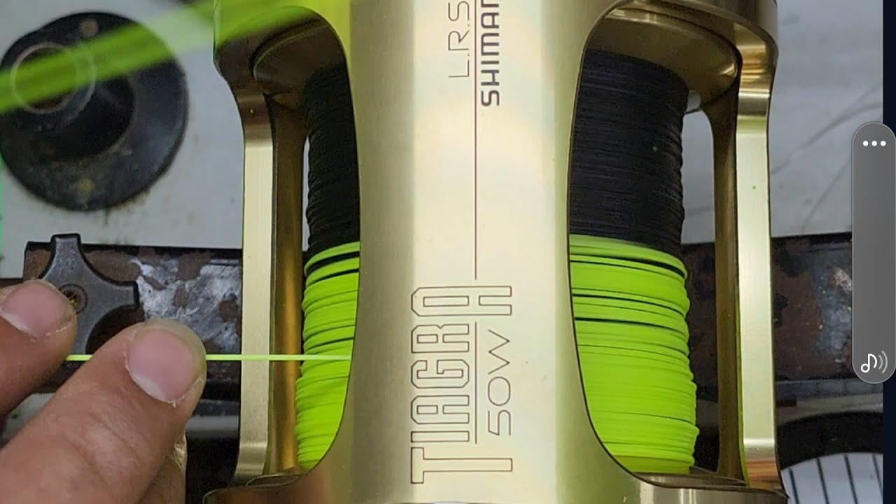 Black Hollow core Backing to Chartreuse topped 50w tiagra 🤯