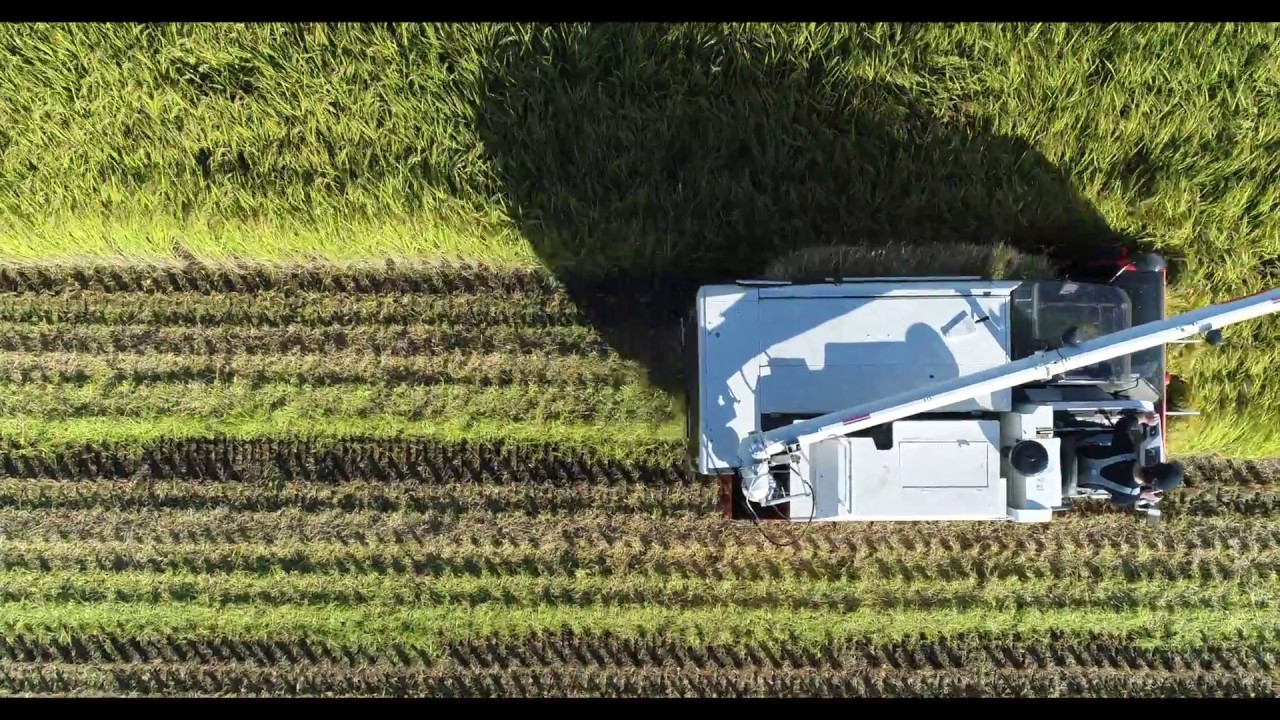 やましろファーム一年の軌跡 The track of the yamashiro farm