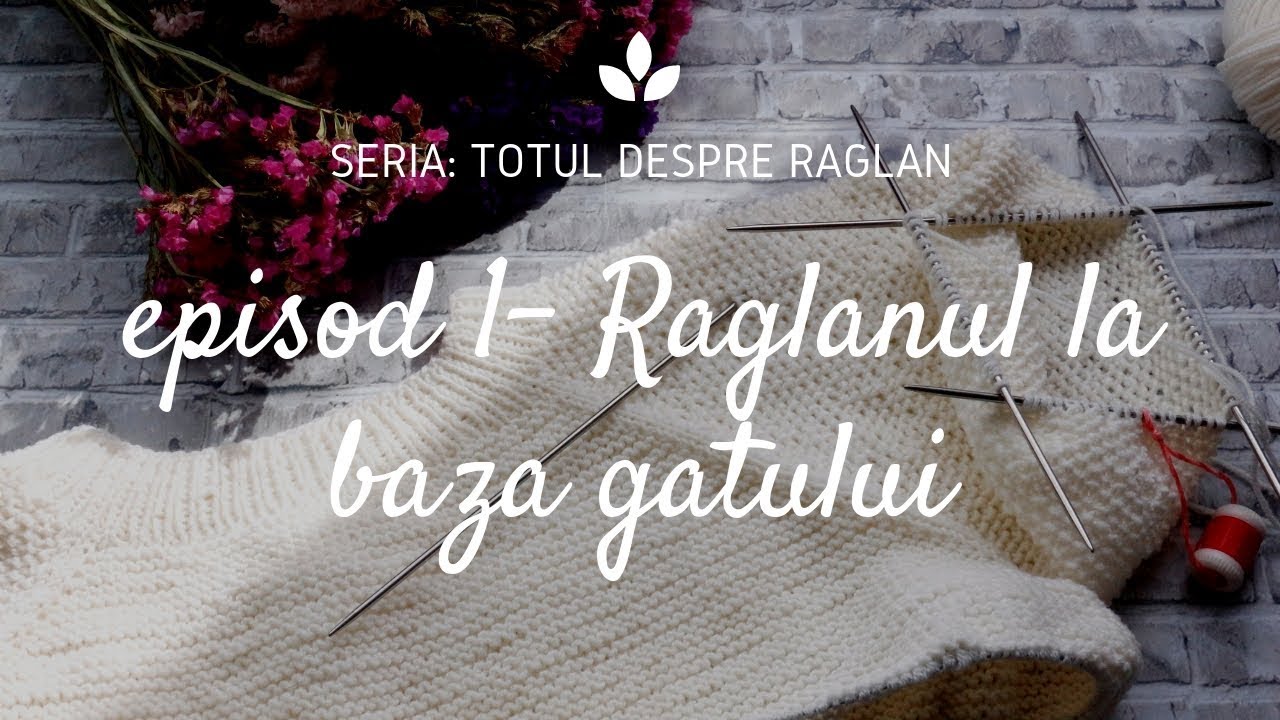TOTUL DESPRE RAGLAN-  Raglan la baza gatului - ep.1