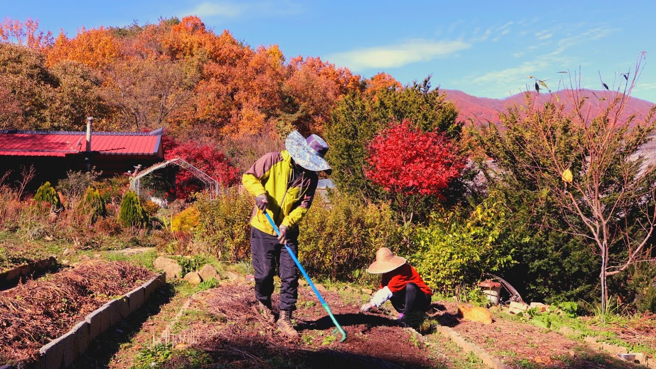 Простая жизнь в горах, наслаждение настоящим и подготовка к зиме~!!