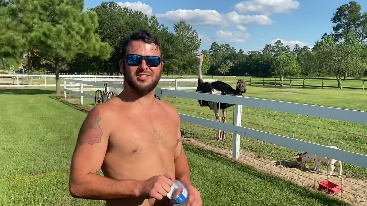 Carl: Myth Busters Edition