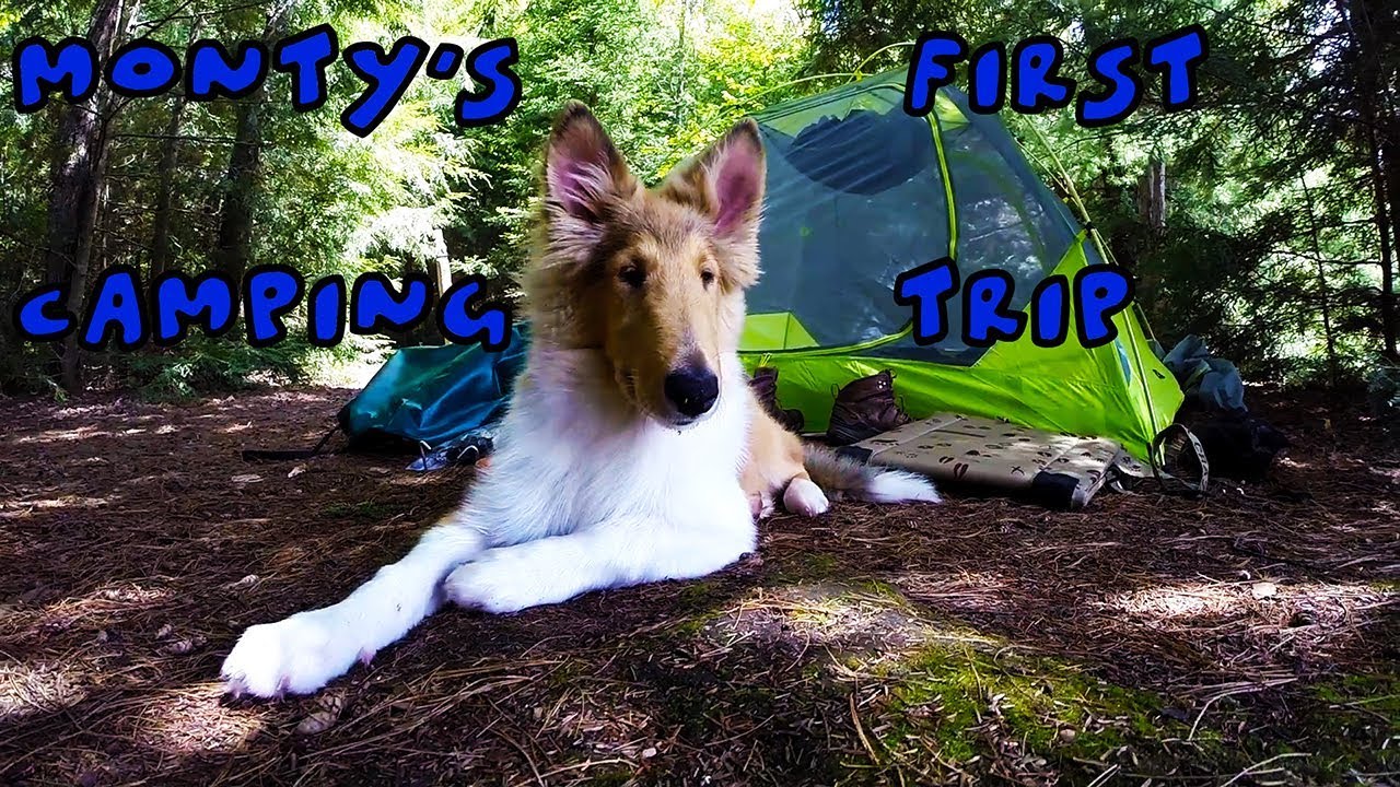 Monty's First Camping Trip