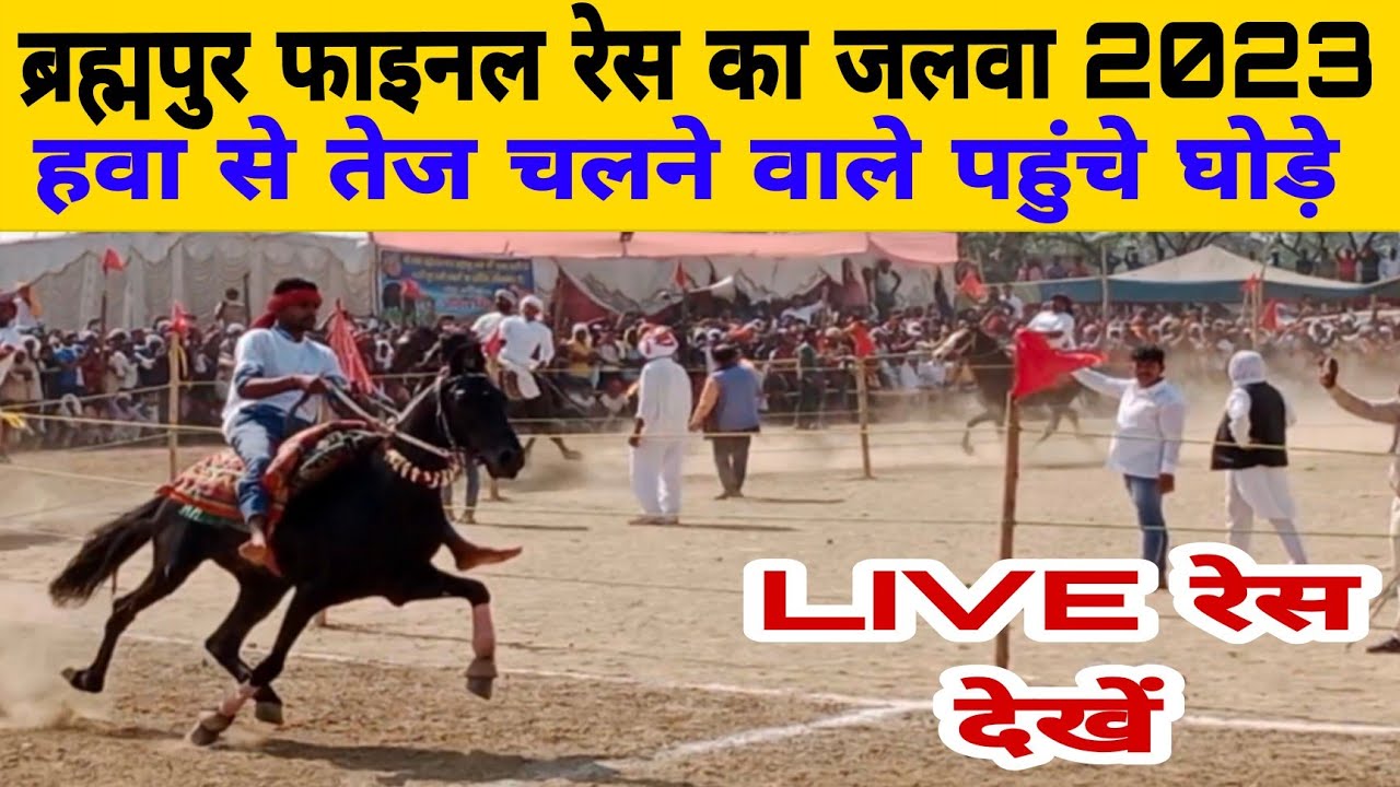 ब्रह्मपुर मेला फाइनल रेस में हवा से तेज चलने वाले घोड़े/brahmpur final horse race 2023/horse race ||