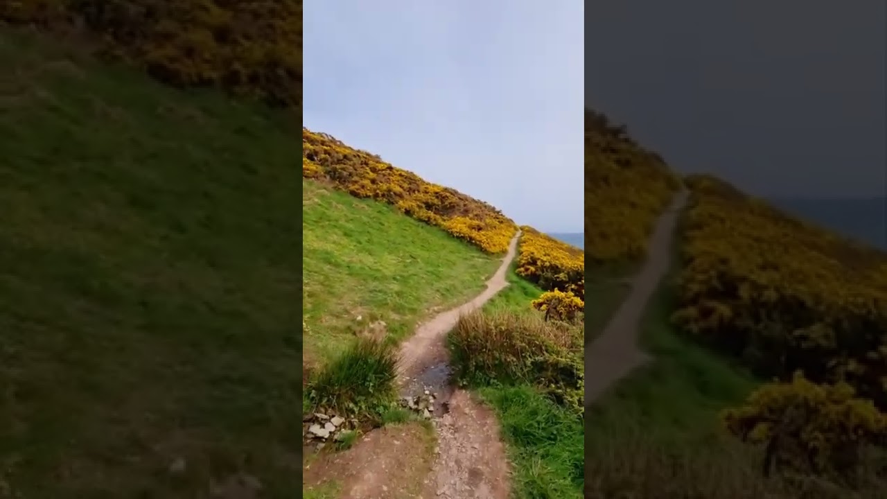 Looe to Talland Bay circular walk