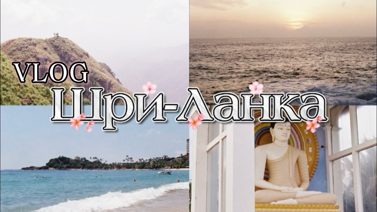 VLOG ШРИ-ЛАНКА / сафари, чайные плантации, храмы 
