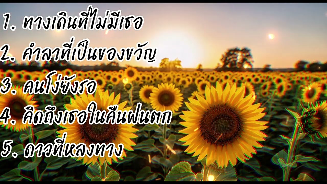 ทางเดินที่ไม่มีเธอ /คำลาที่เป็นของขวัญ/ เพลงเศร้าๆ อกหัก หนุ่มๆชอบฟัง/ ฟังนานยิ่งเพราะขึ้น