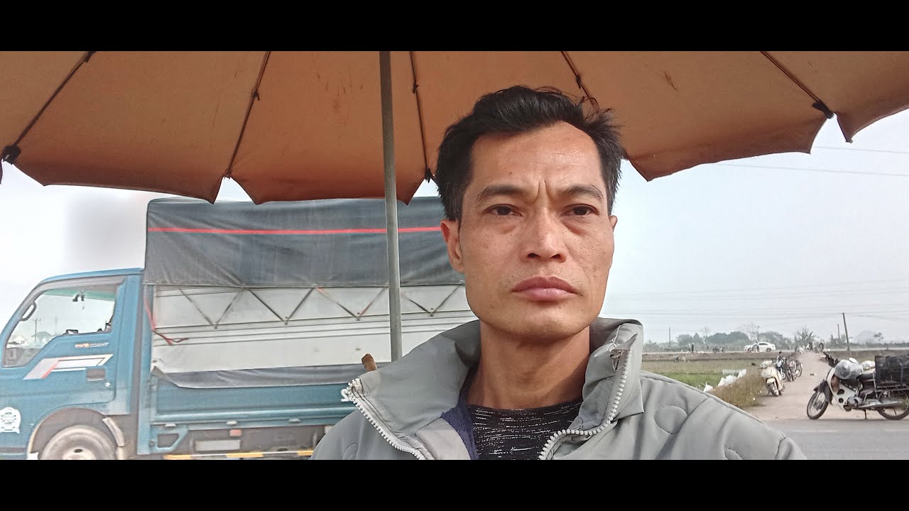 Xuân lưỡng. Từ tây bắc. Về quê vào ngày mùa thu hoạch khoai tay