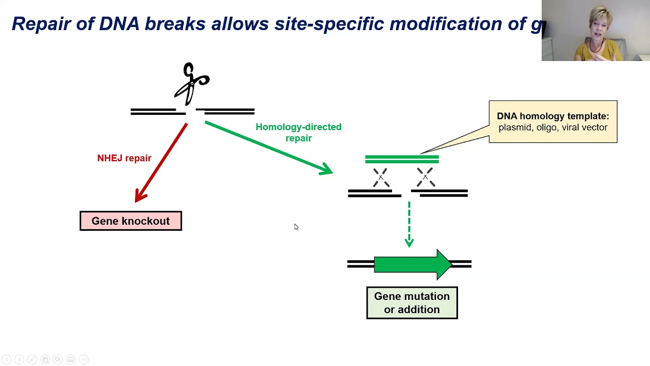 April 2021 ACC - Engineering B Cells for an HIV Cure