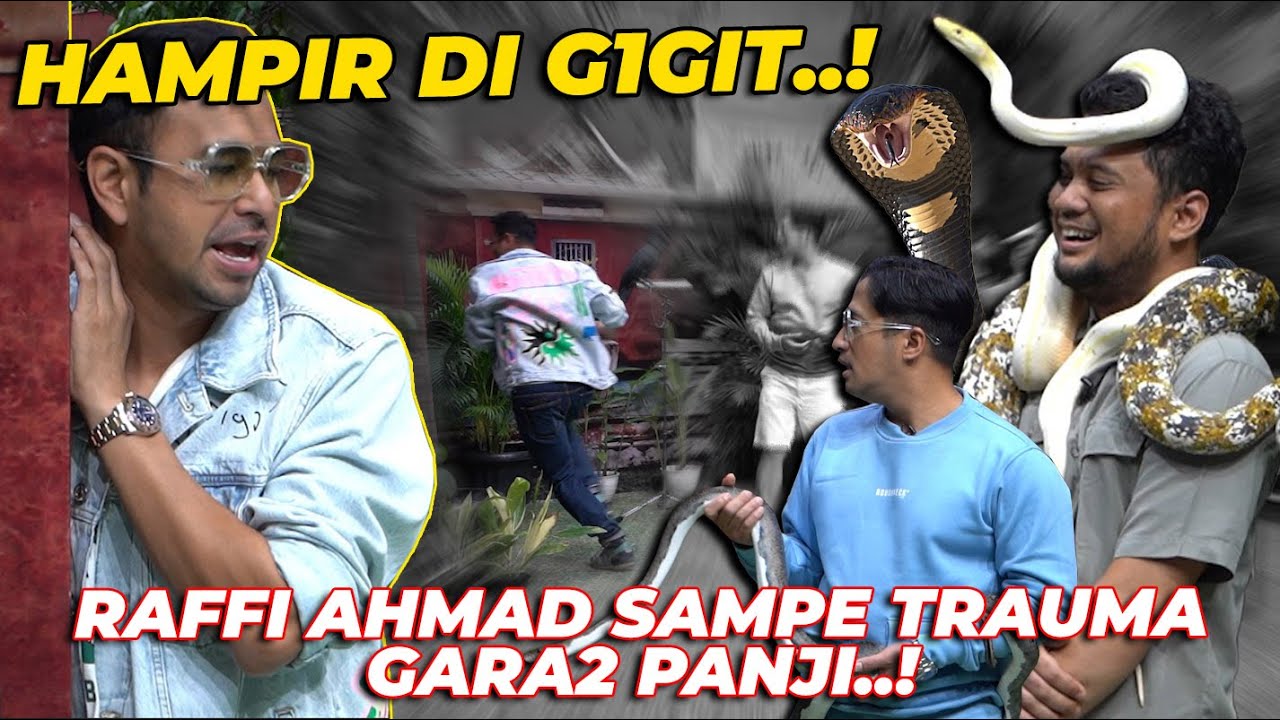 SYOKKK..! RAFFI AHMAD HAMPIR DI G1GIT ULAR PANJI PETUALANG..! LANGSUNG NGACIR