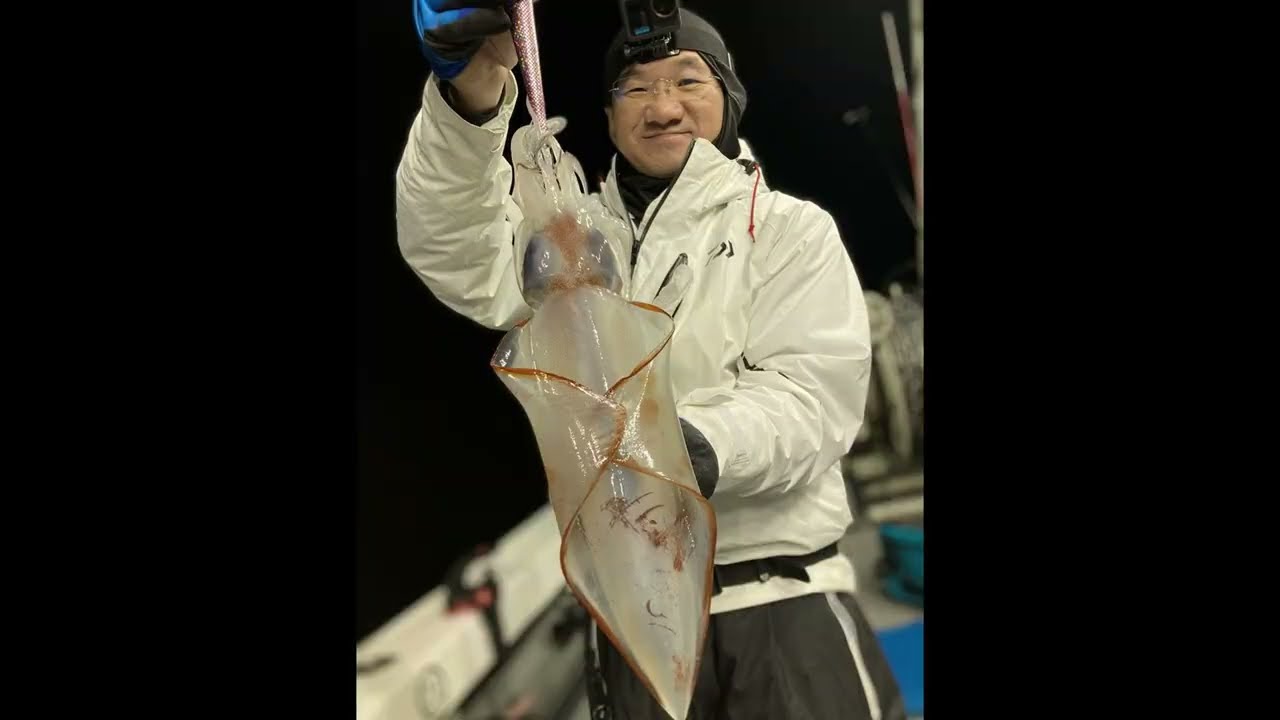 タルイカ-福井県巨 -新漁丸 -Pescaria de Taruika 2024/11/20