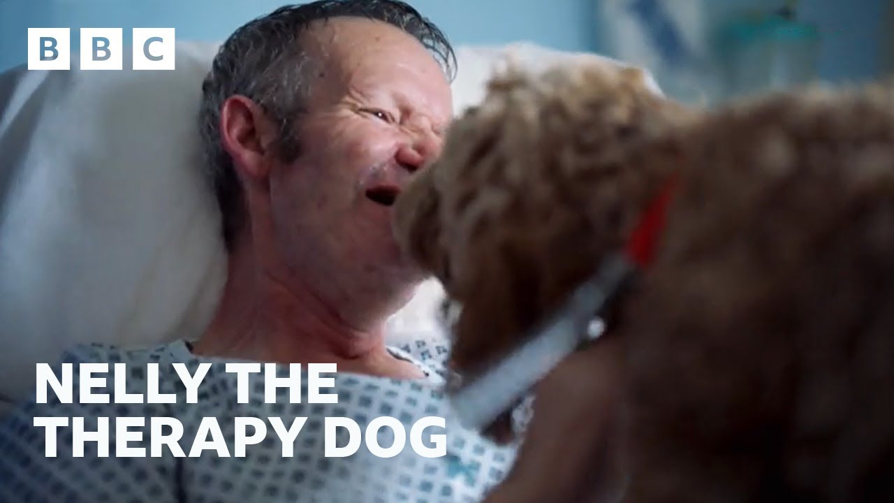 Emotional Hospital Visit - BBC