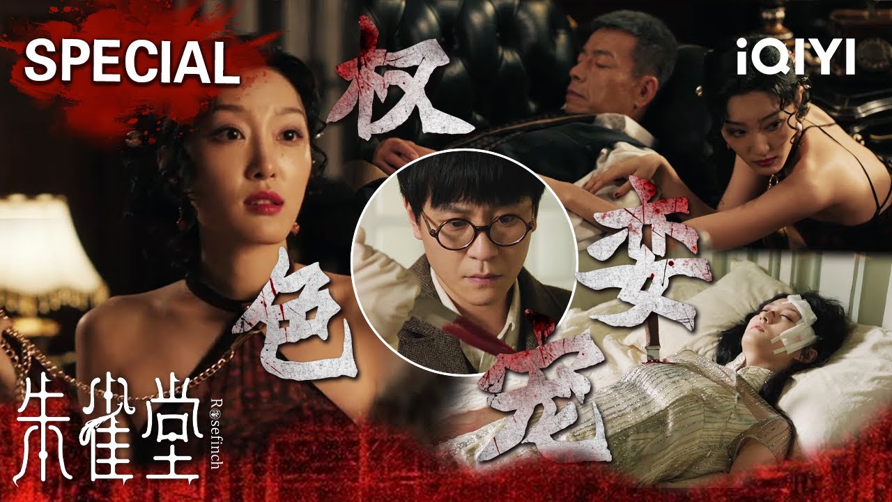 【朱雀堂|特辑5】女孩诡异失踪惨遭灭口💥升斗小民注定无伸冤之路！😭上海滩盛大选美掩埋正义，权色背后暗藏的交易又是谁的催命符？ | Rose Finch | iQIYI悬疑社