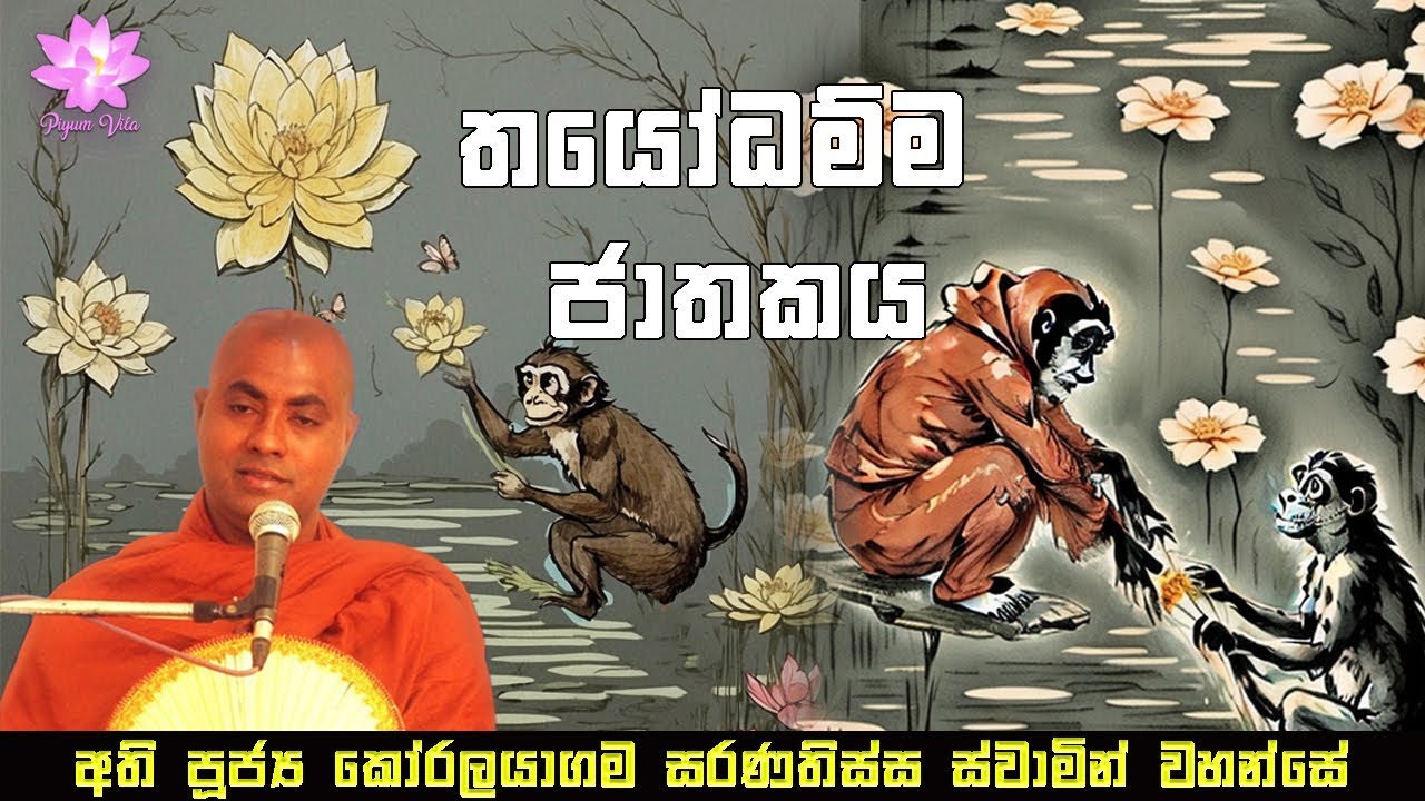 තයෝධම්ම ජාතකය | Thayodhamma Jathakaya | Ven Koralayagama Saranathissa Thero