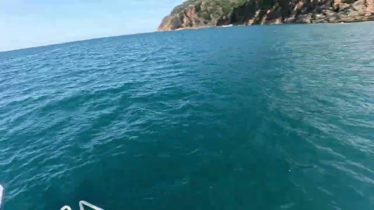 mackerel fishing