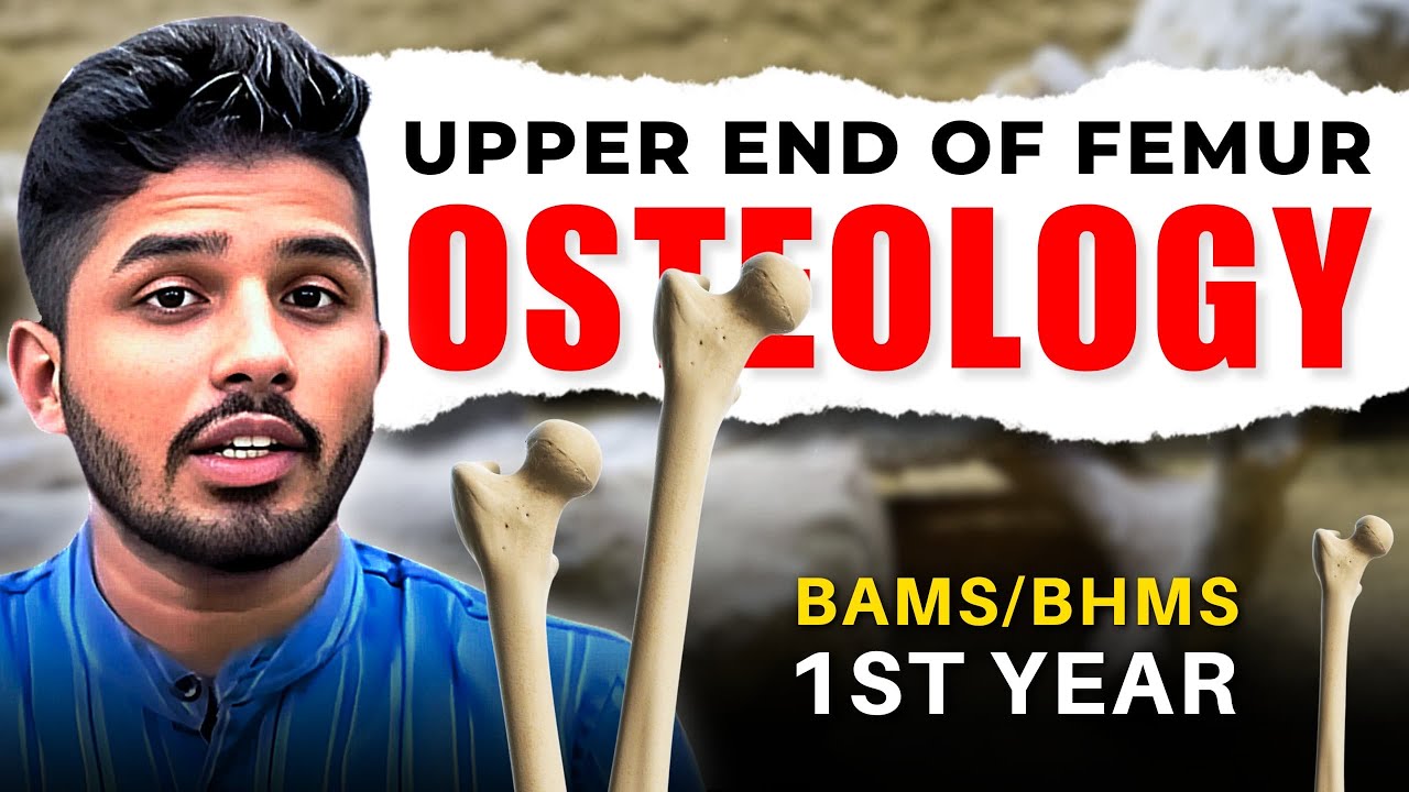 Osteology - Femur Bone || BAMS/BHMS 1st Year #ayurvedawingsclasses #bams #bhms #anatomyclasses