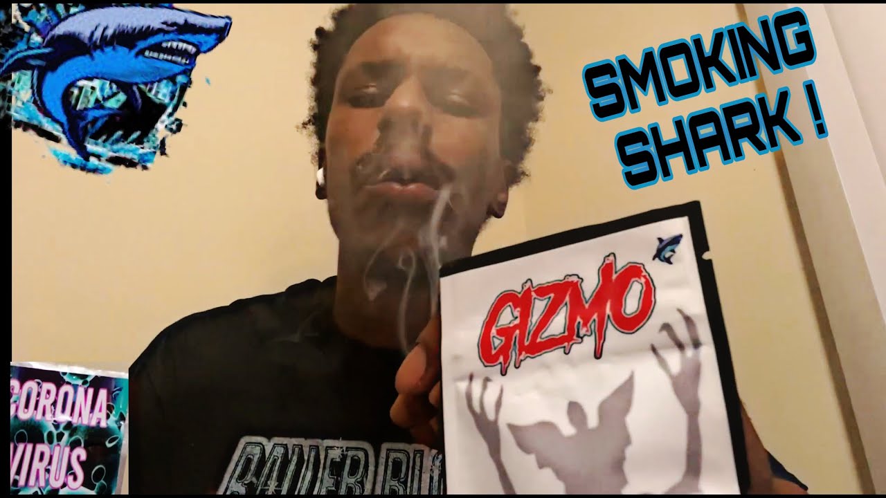 CORONAVIRUS/GIZMO STRAIN REVIEW !!!