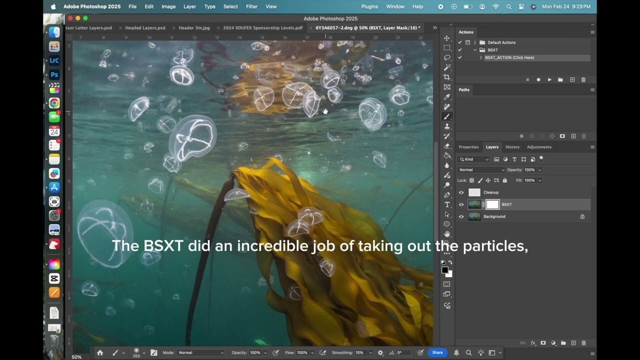Remove Backscatter with Just One Click!