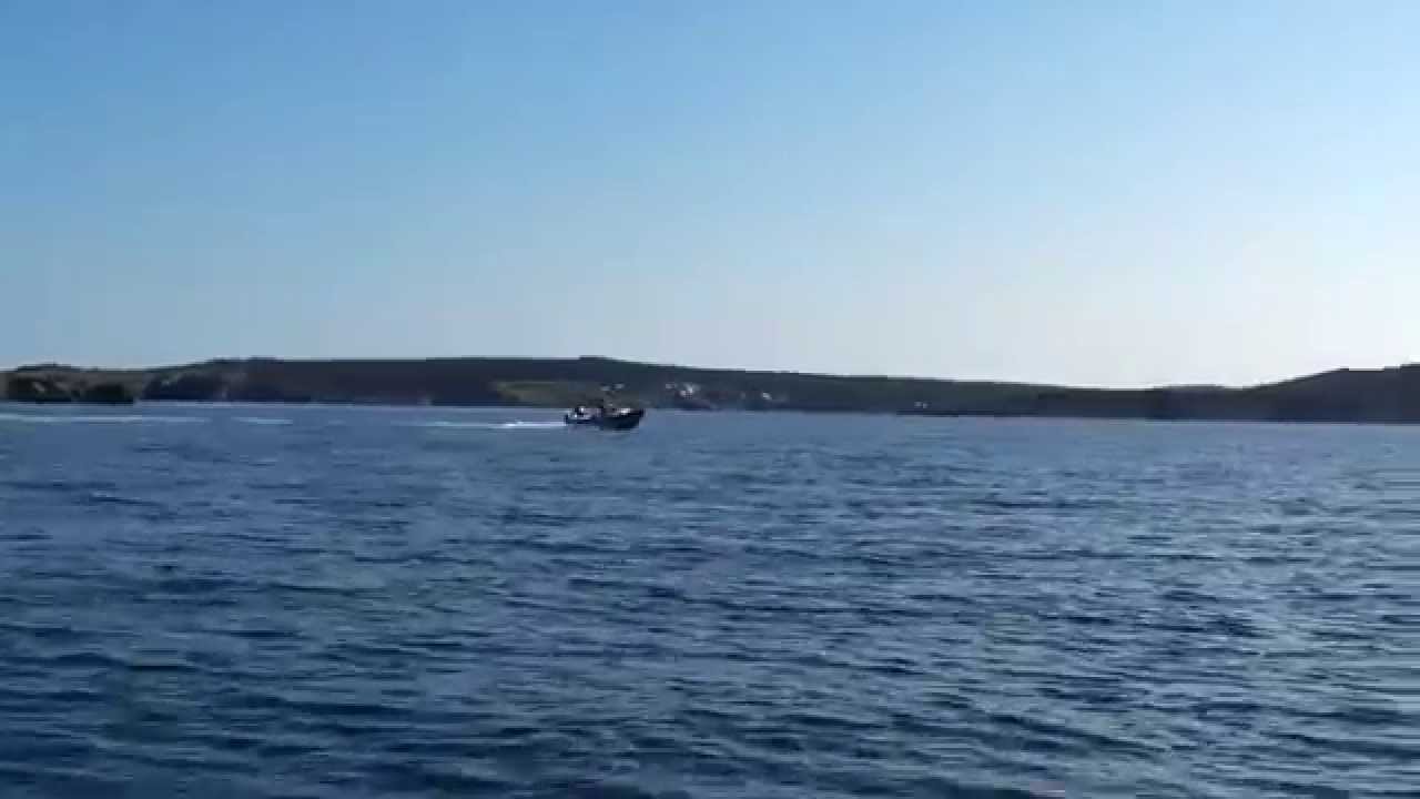 Silver Dolphin 18 - Carbonear Island Newfoundland