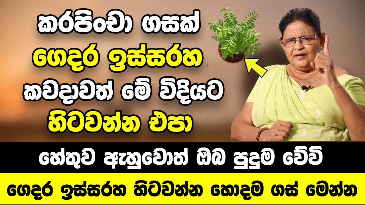 කවදාවත් ඔබේ ගෙදර ඉස්සරහ කරපිංචා ගසක් මේ විදියට හිටවන්න එපා | හේතුව ඇහුවොත් ඔබ පුදුම වේවි |Ape Gedara