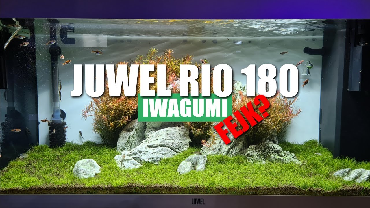 Juwel Rio 180 -  Iwagumi 
