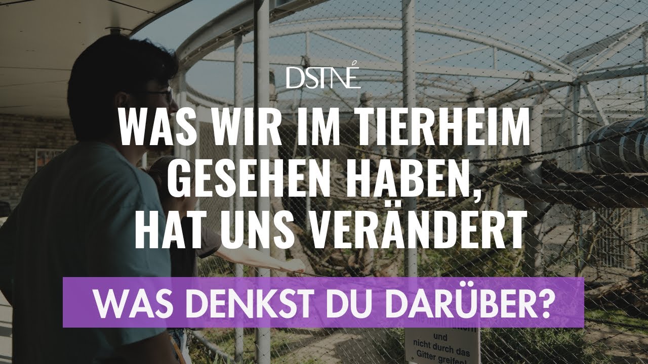 DAS haben wir im Tierheim Berlin nicht erwartet… 🐾💥 | Streetwear für den guten Zweck (Part 1)