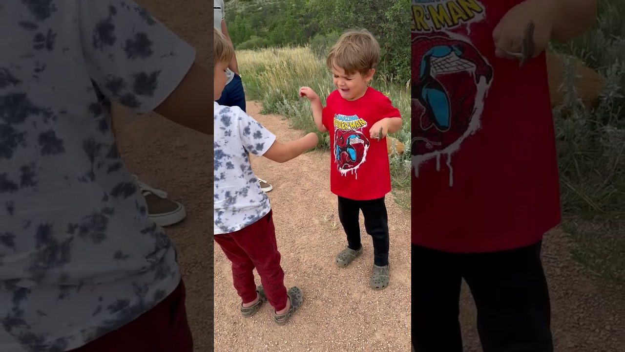 Brothers&rsquo; funny interaction over lizard in Colorado Springs, USA