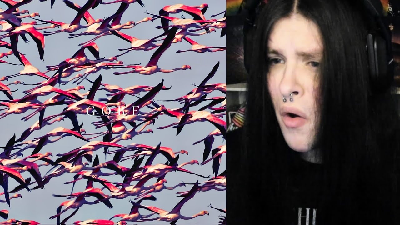 PEOPLE SAID THIS SUCKS?! Deftones - Gore | Full Album REACTION! 