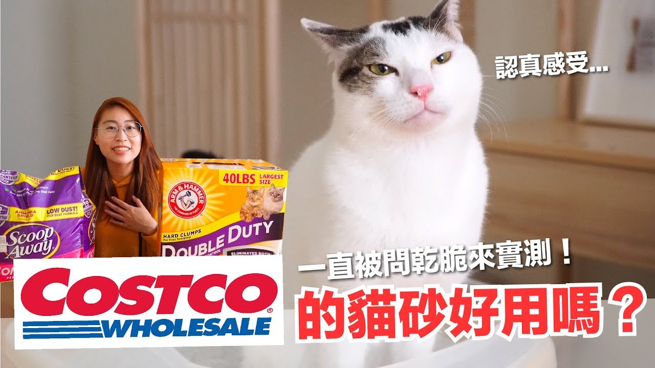 每次逛好市多都被問！Costco的貓砂到底好不好用？【好味貓開箱】EP15