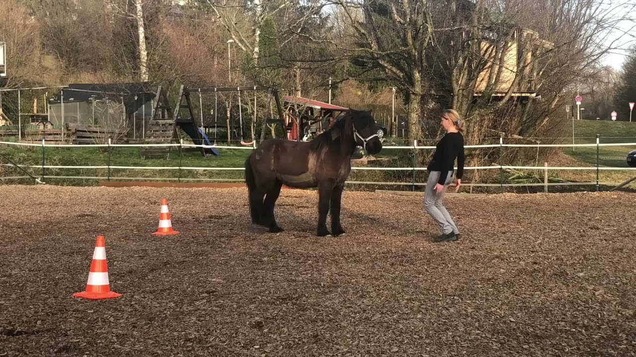 D&ouml;kkvi und Jasmin - ein Spieleabend ;-)