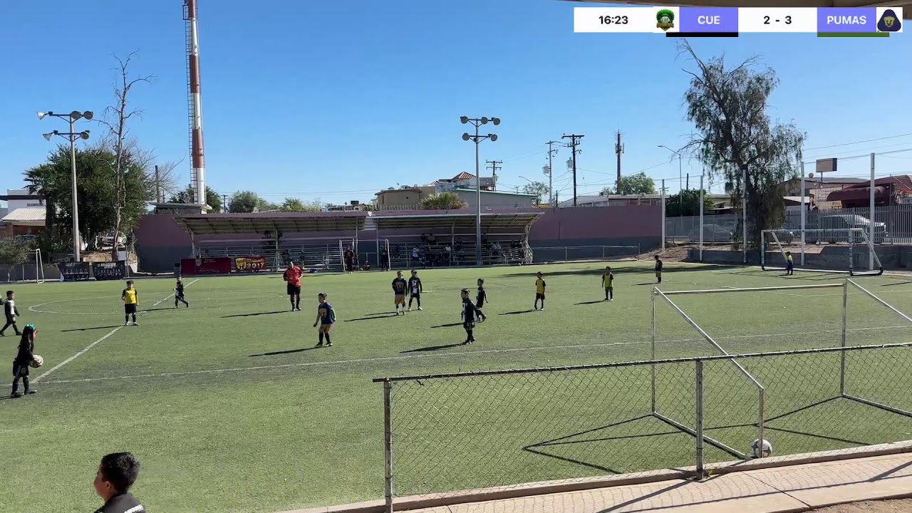 En vivo impulsado por la aplicación Swish Live
CUE VS PUMAS