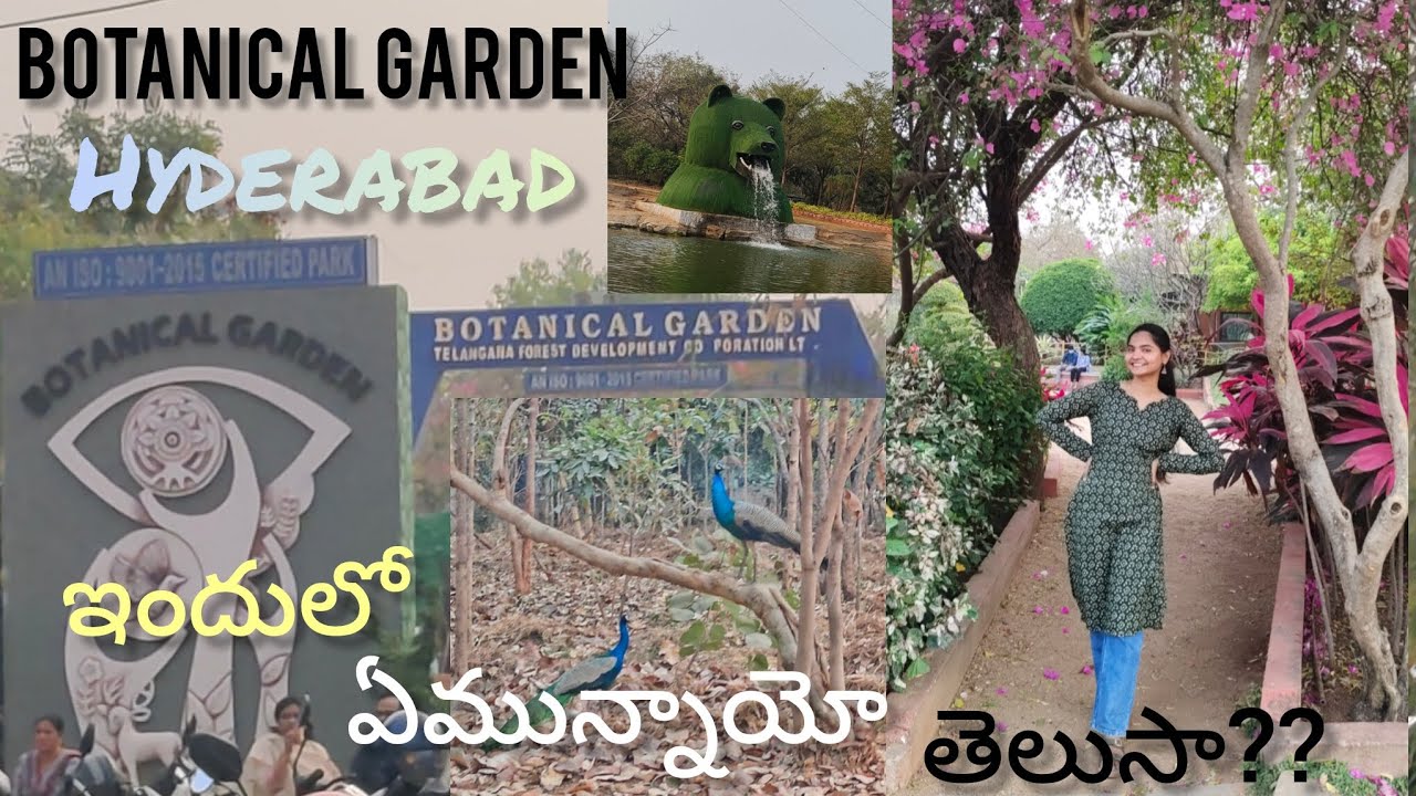 Botanical garden in hyderabad 😍💕#minivlog #youtube #botanicalgarden #hyderabad 