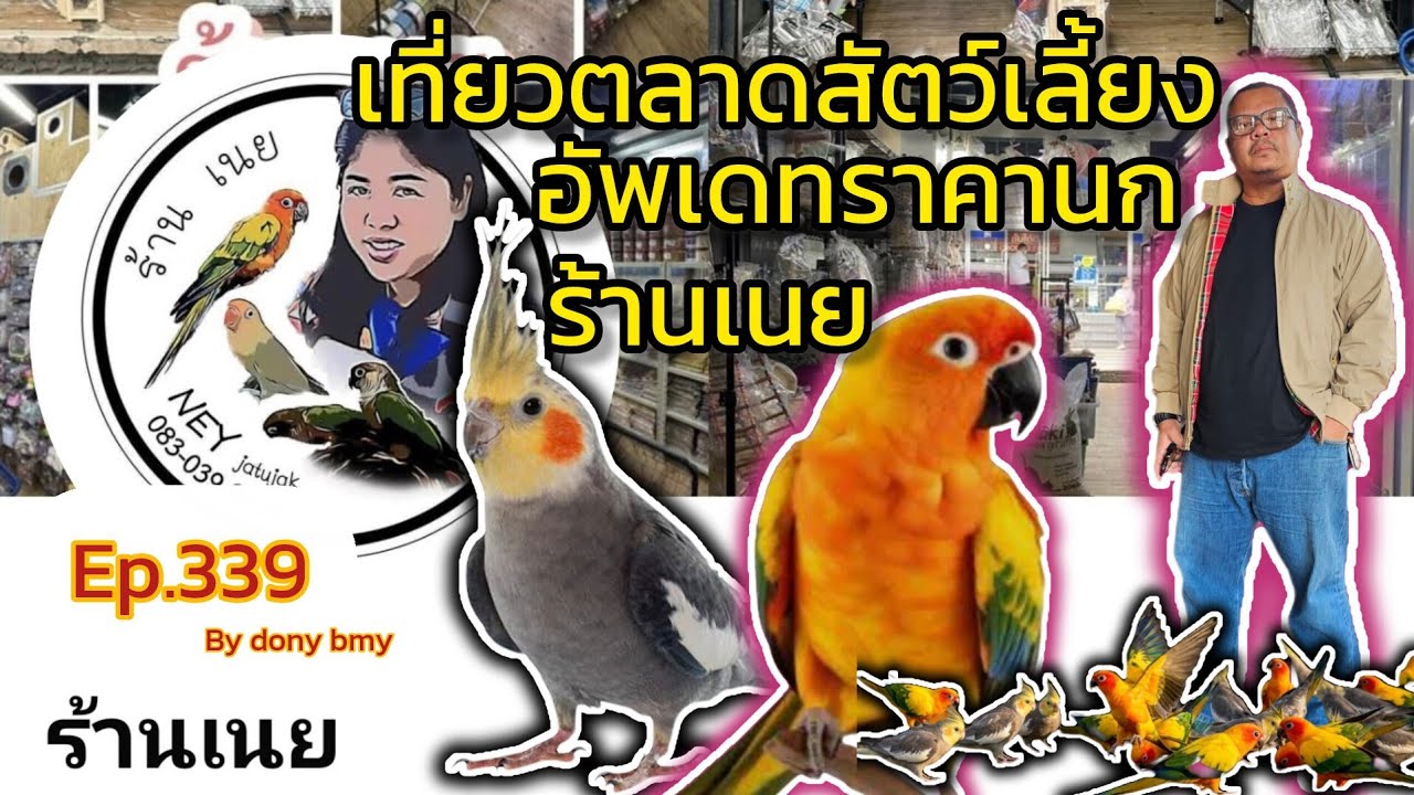 เที่ยวตลาดสัตว์เลี้ยง Ep.339🦜|อัพเดทราคานกร้านเนย|#ตลาดจตุจักร #จตุจักร #chatuchak  #Chatuchakmarket