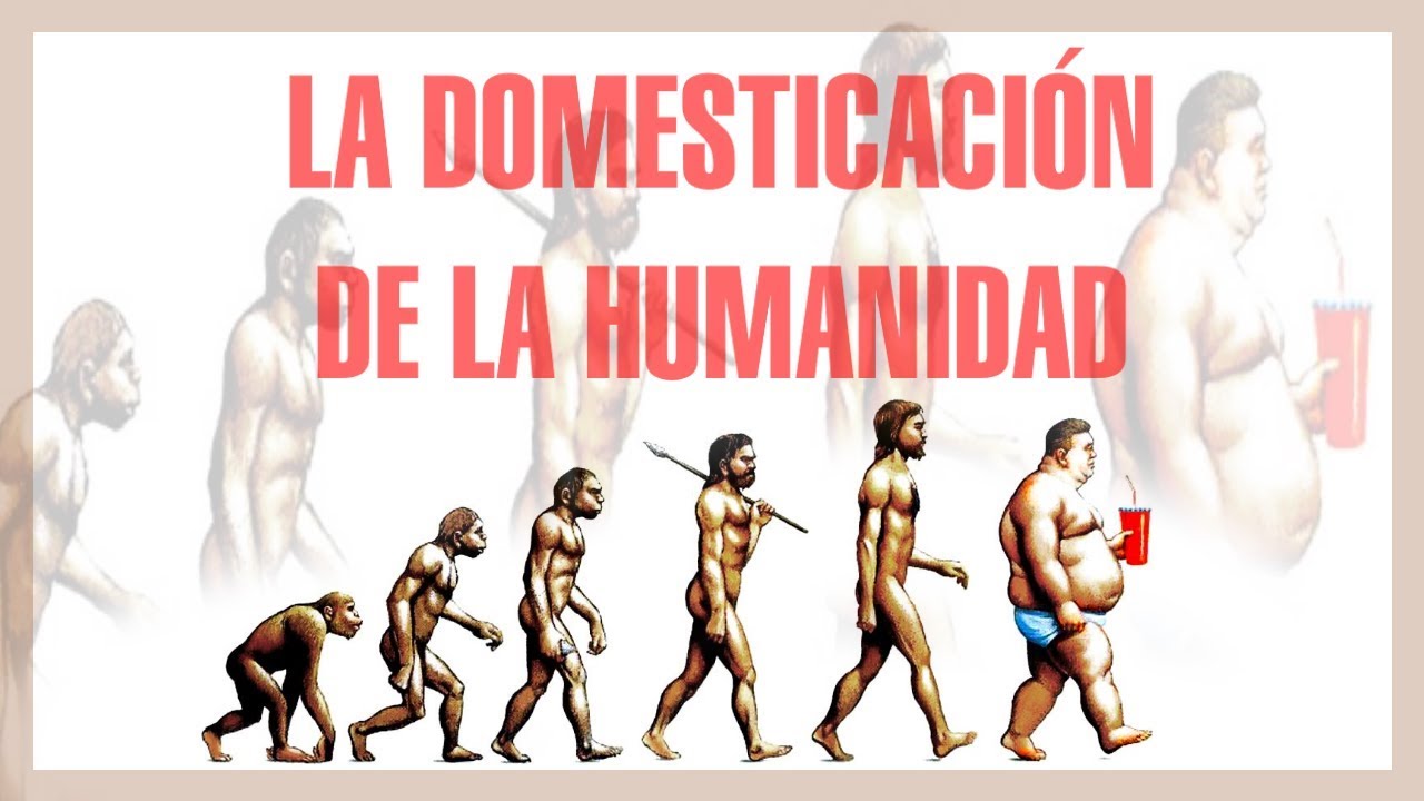 La domesticaci&oacute;n de la humanidad - Mini Documental
