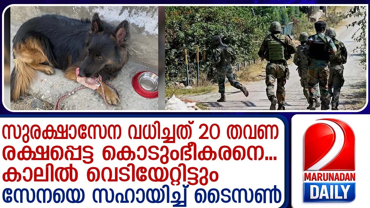 കിഷ്ത്വാറില്‍ കൊടുംഭീകരനെ കാലപുരിയ്ക്കയച്ച് ഇന്ത്യന്‍ സൈന്യം | kistwar attack | tyson dog