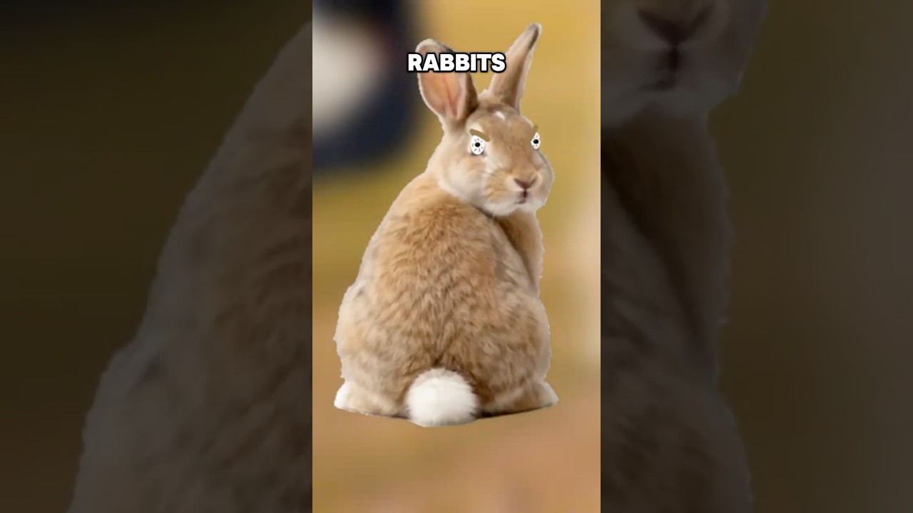 Największy wr&oacute;g Napoleona&hellip;