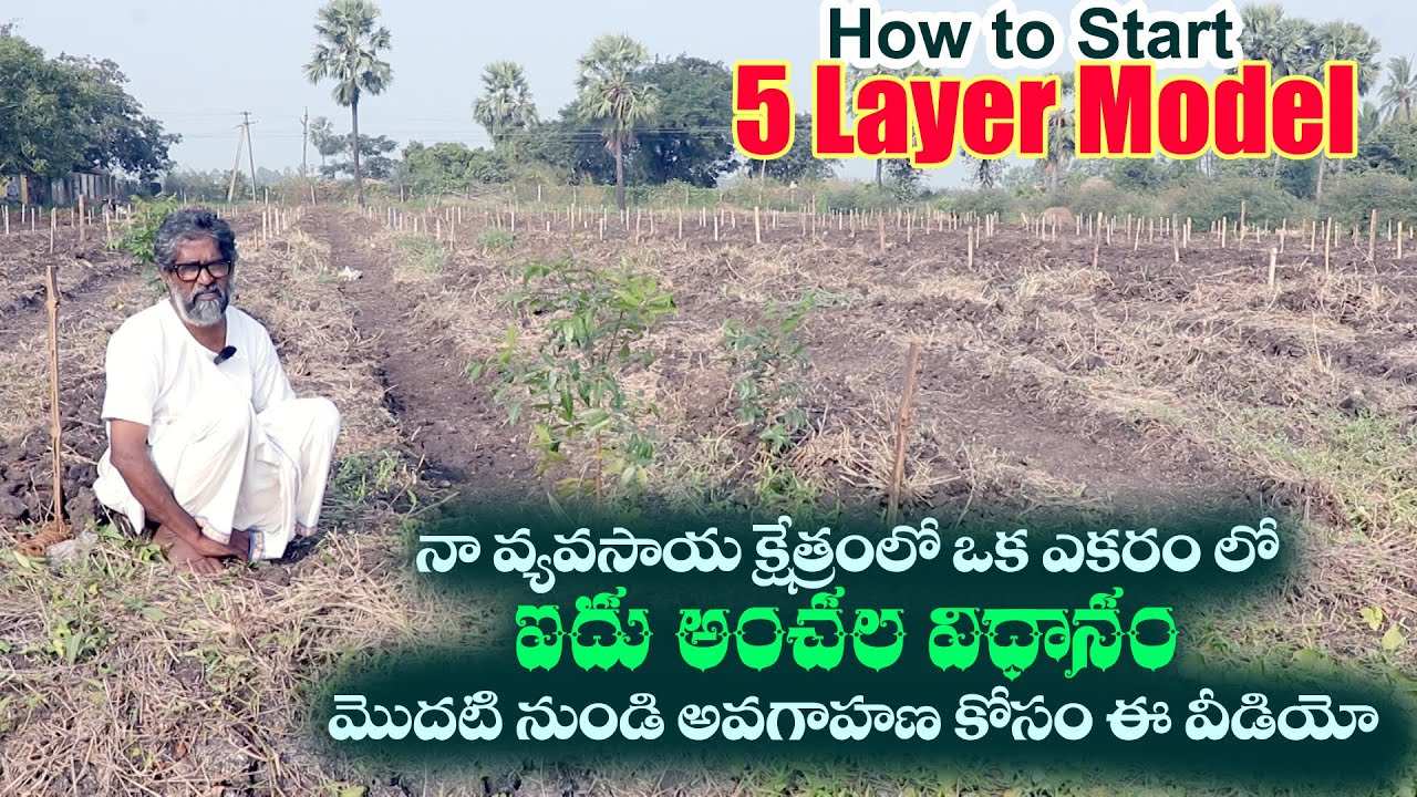 నా వ్యవసాయ క్షేత్రంలో ఒక ఎకరం లో ఐదు అంచల విధానం మొదటి నుండి అవగాహణ కోసం ఈ వీడియో||Tarakturu 5 layer