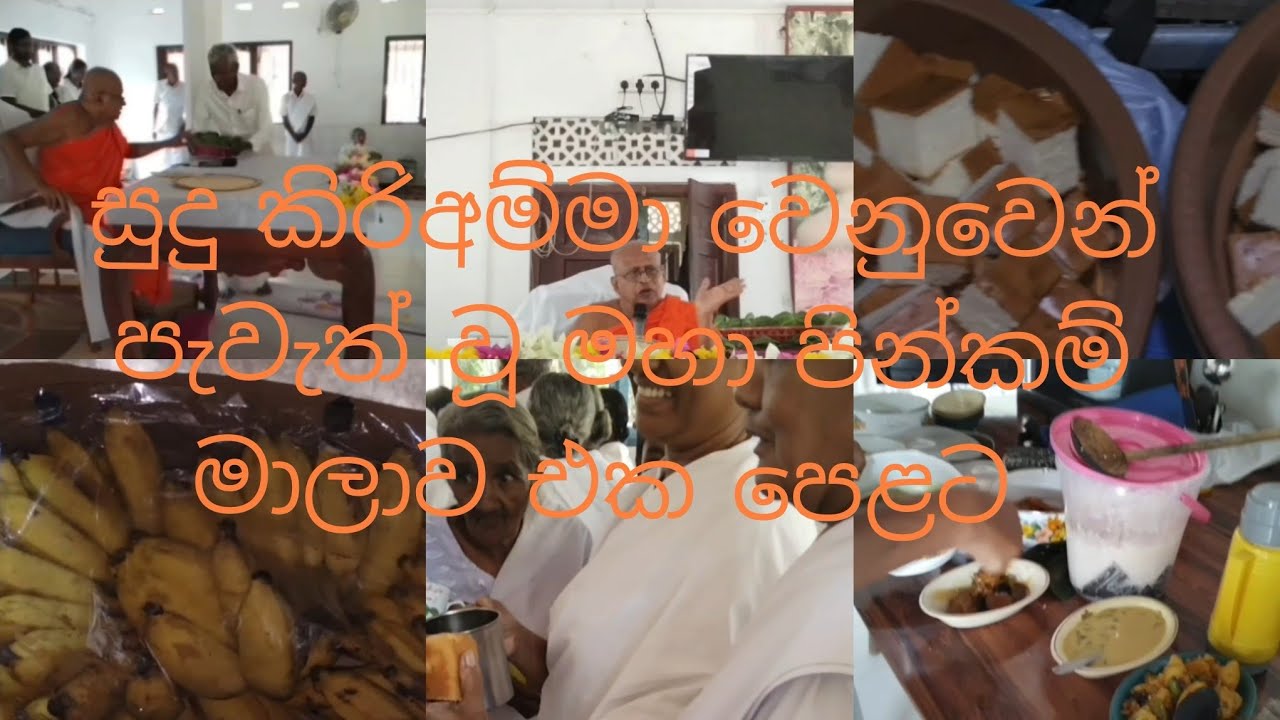 සුදු කිරි අම්මා වෙනුවෙන් පැවැත්වූ මහා පින්කම් මාලාව එක පෙළට 
