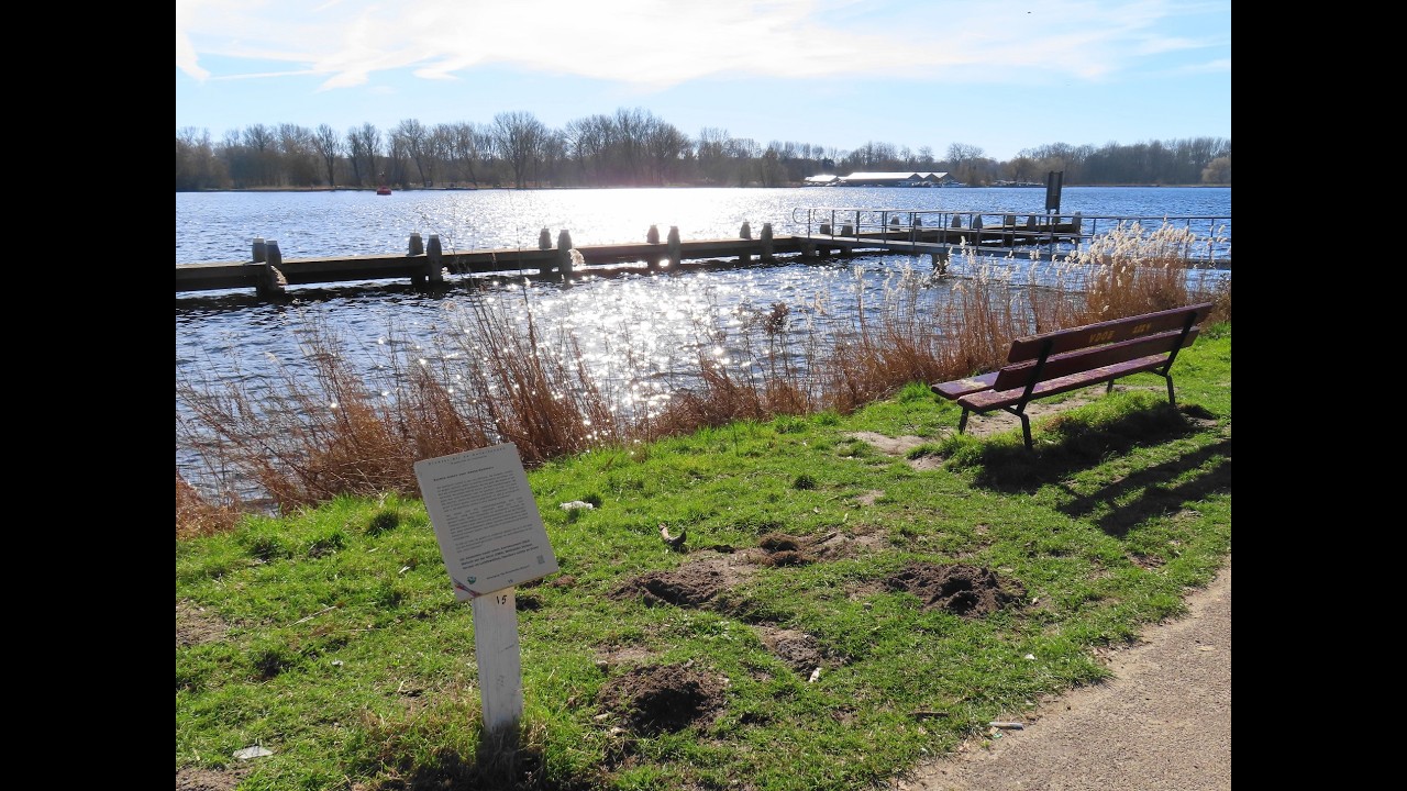 Dichter bij De Oeverlanden: Gedichtenroute / Amsterdam Nieuw-West