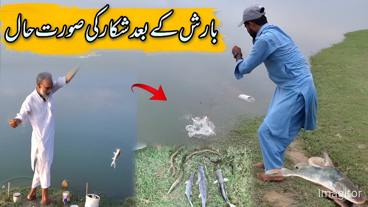 Barish Ke Bad Shikar Ki Surat Haal | Mangla Dam Fishing | Hammad Official